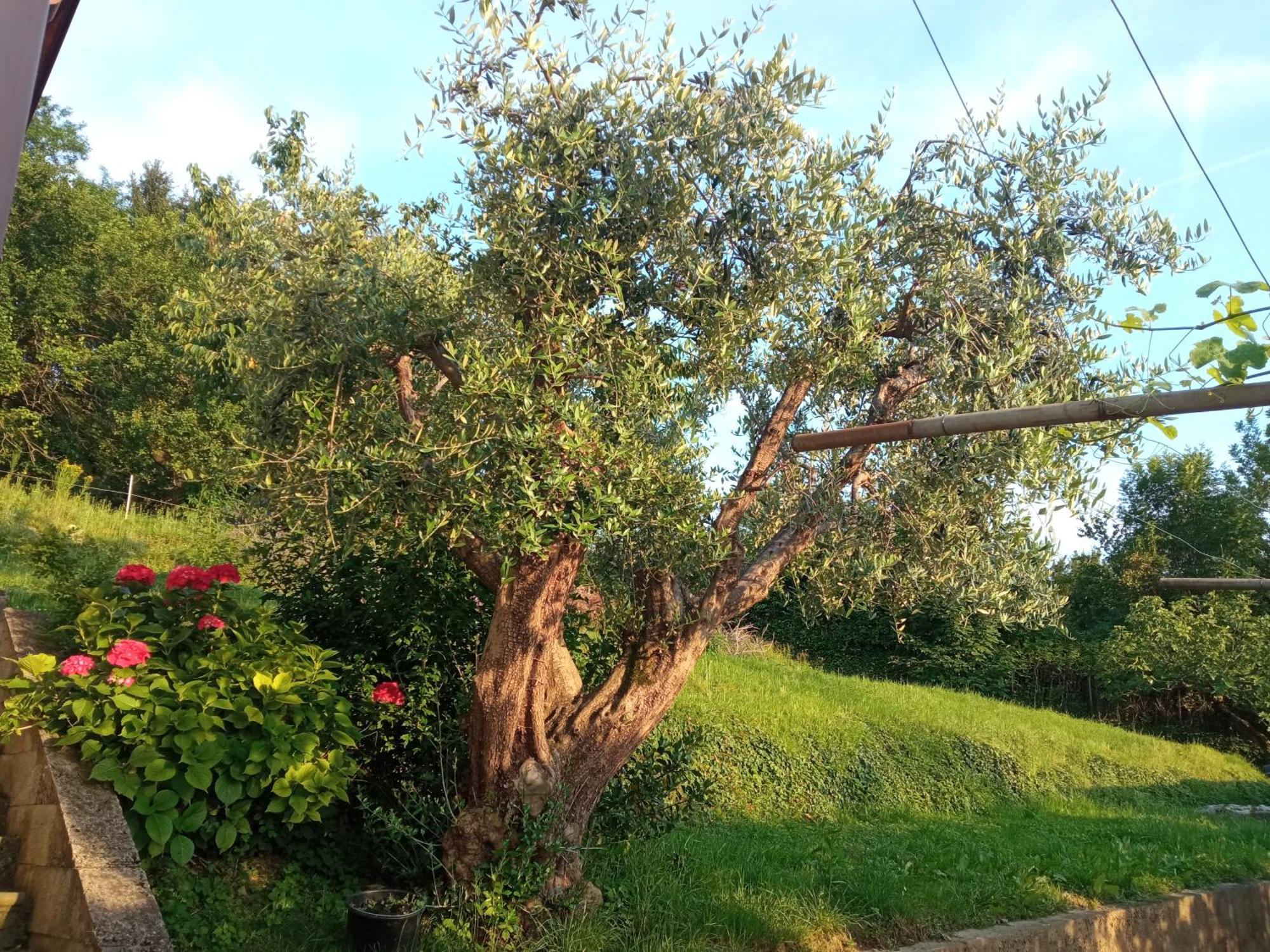 Bergamo Bnb Villa di Serio Экстерьер фото
